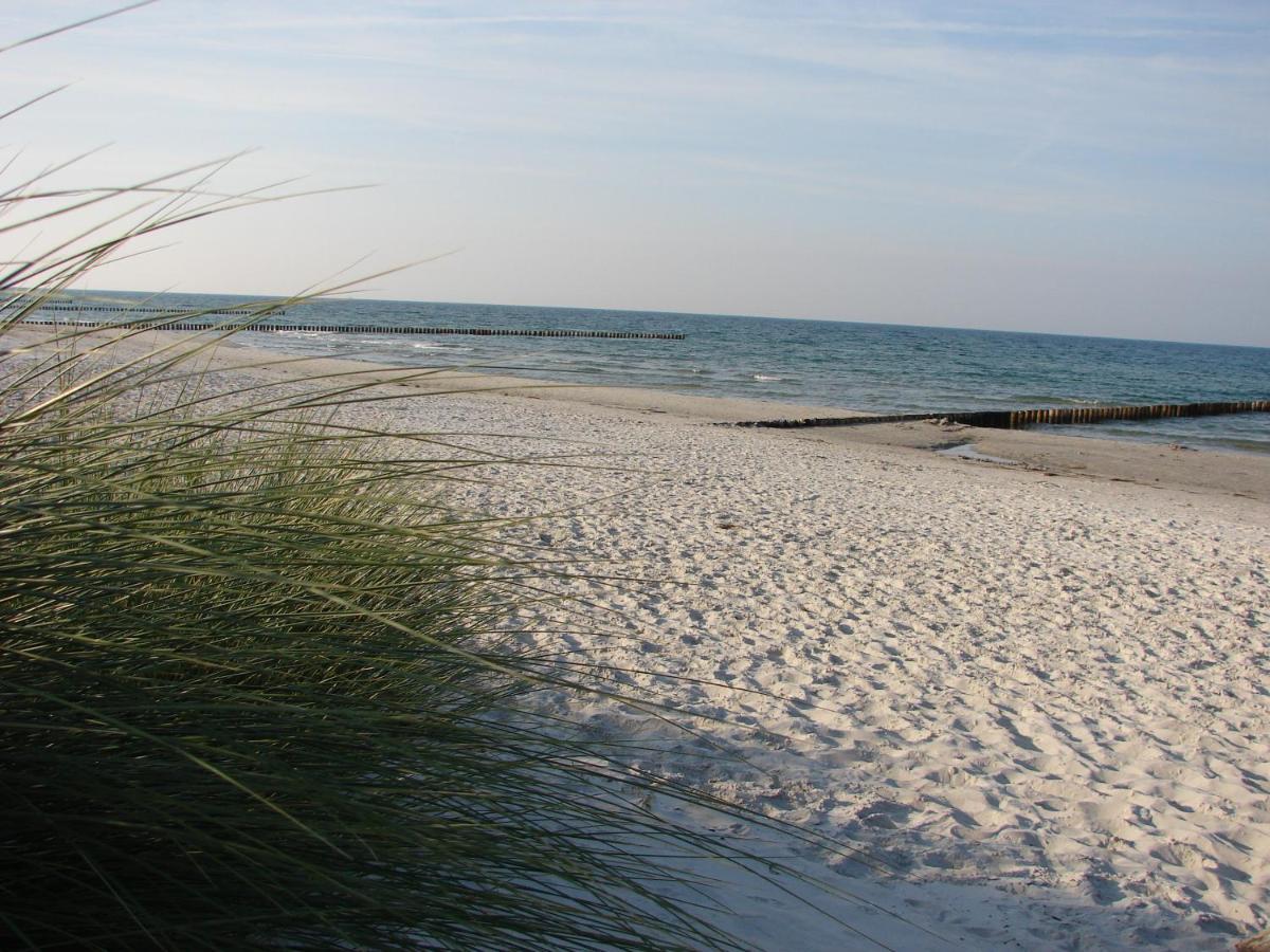 Hausnora - Zingst Apartman Kültér fotó